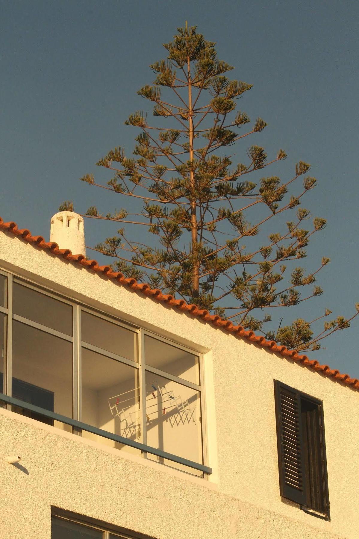 Apartamentos Azul Mar Albufeira Exterior photo